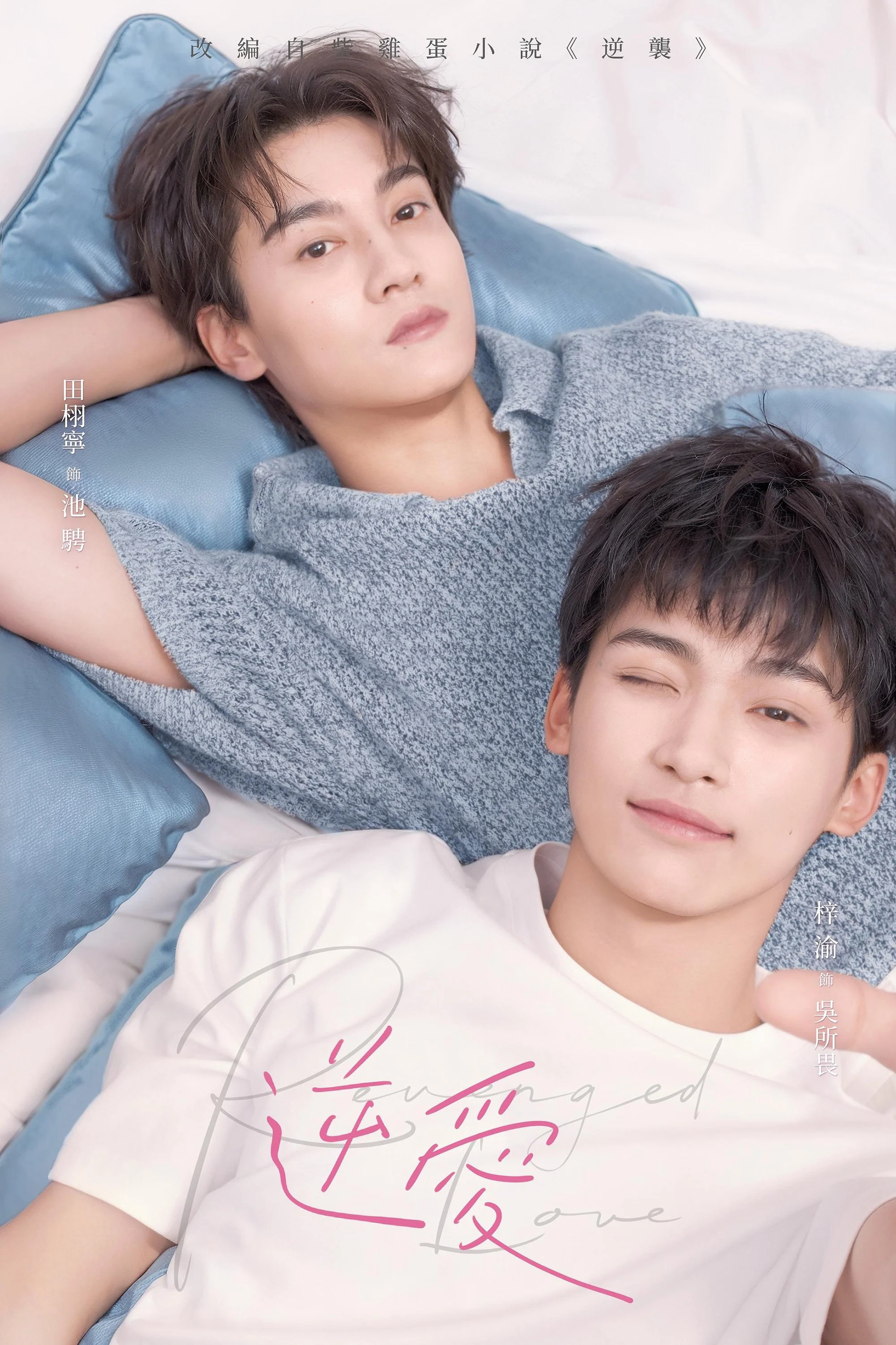 Nghịch Ái Revenged Love