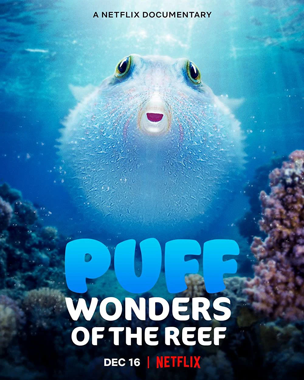 Puff: Rạn san hô kỳ diệu Puff: Wonders of the Reef